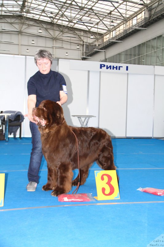 Фотография № 222151