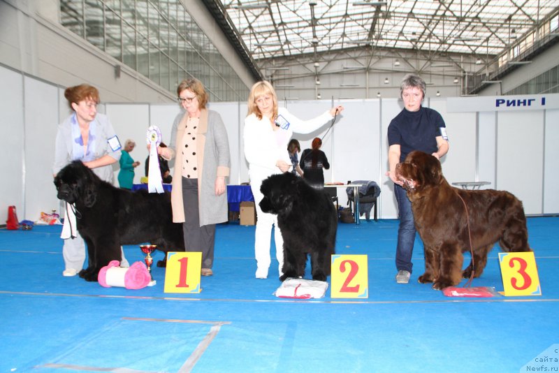 Фотография № 222153