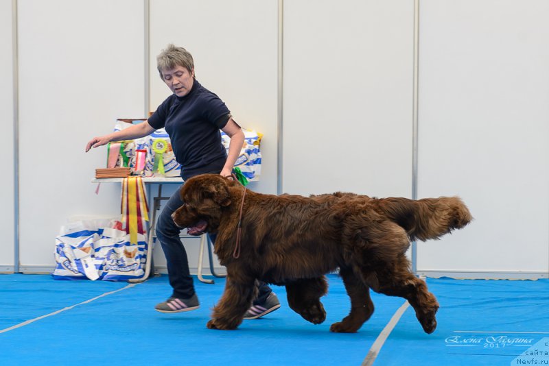 Фотография № 222154