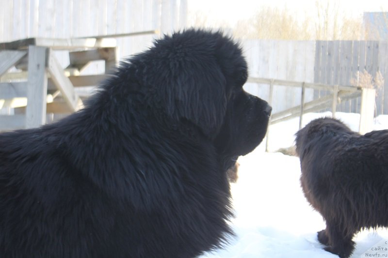 Фотография № 222165