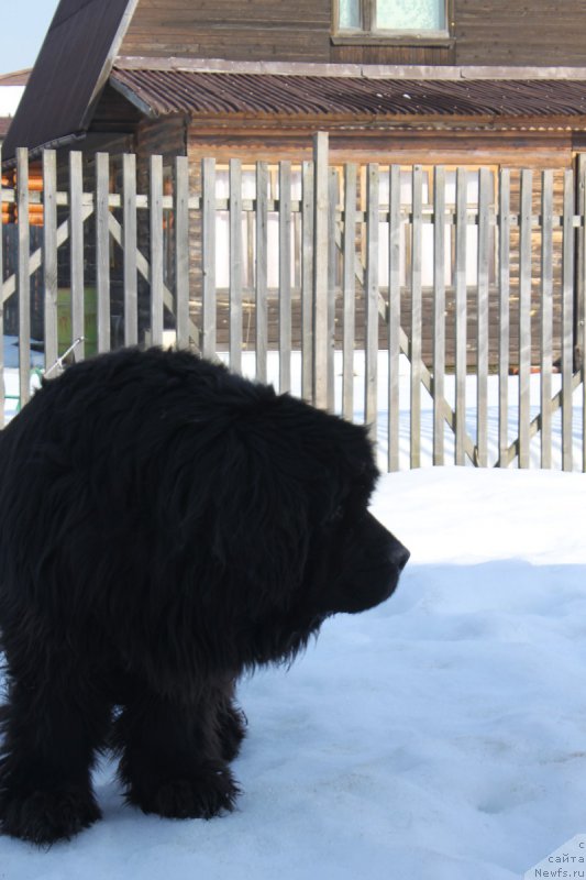 Фотография № 222166