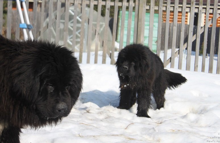 Фотография № 222169