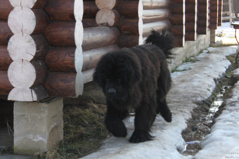 Фотография № 222171