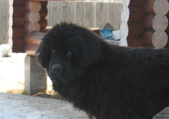 Фотография № 222172