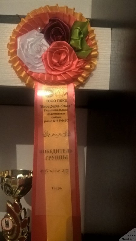 Фотография № 222181