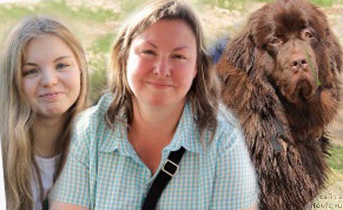 Фото: Ирина Конищева, ньюфаундленд Браунблад МСК Жанара Хайя (Brownblood MSK Zhanara Haya)