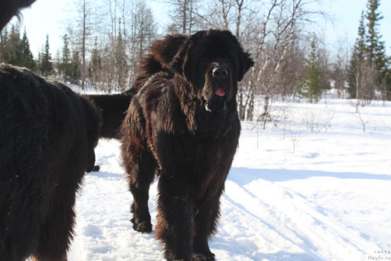 Фотография № 222261