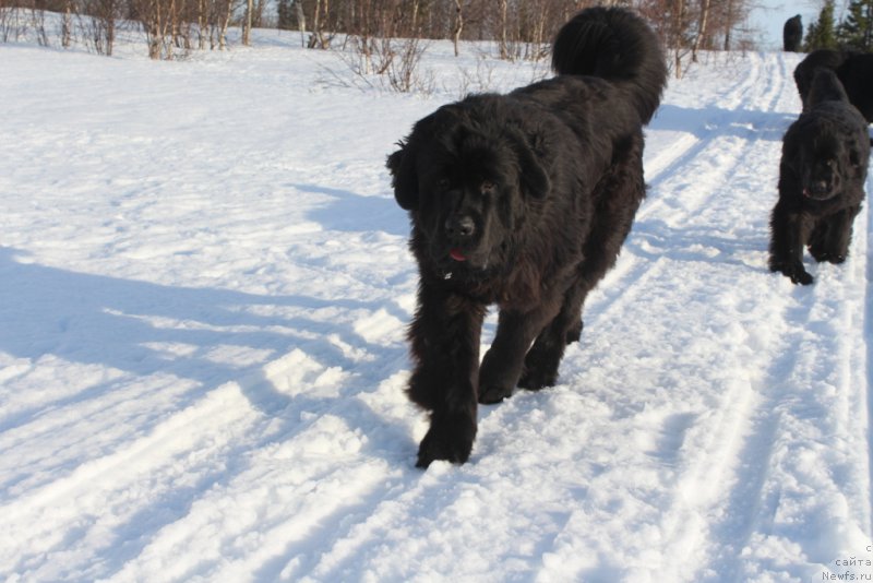 Фотография № 222262