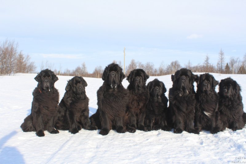 Фотография № 222273