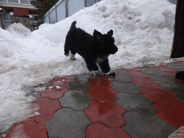 Фотография № 222299