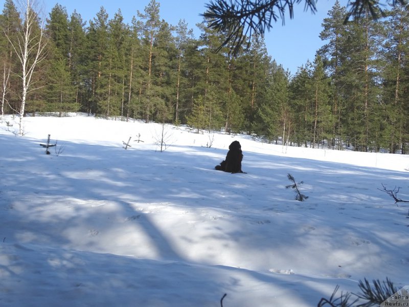 Фотография № 222302