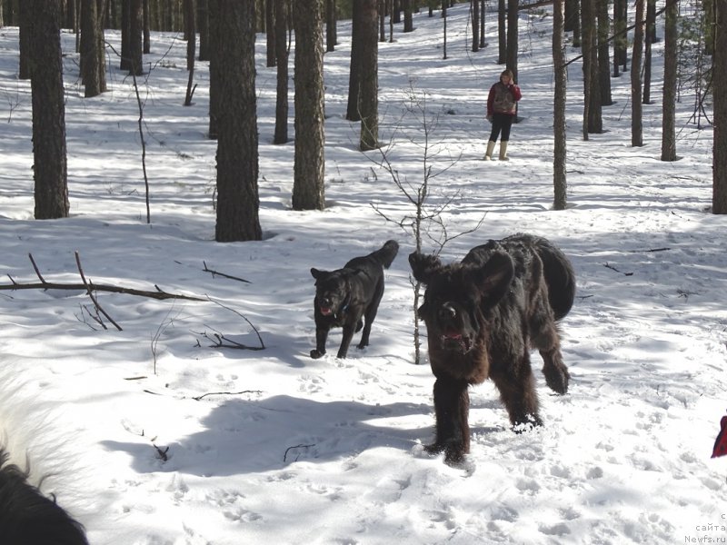 Фотография № 222308