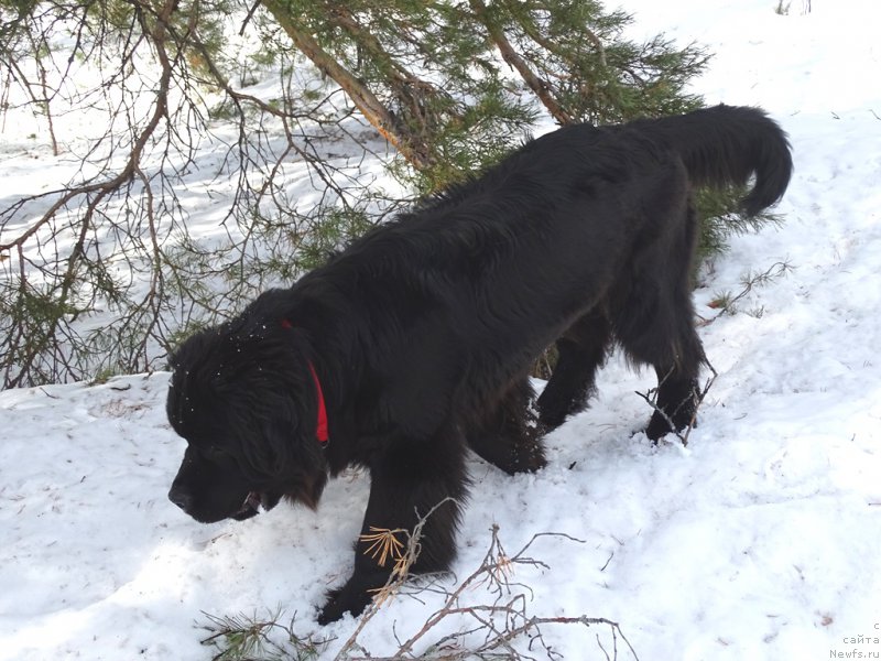 Фотография № 222336