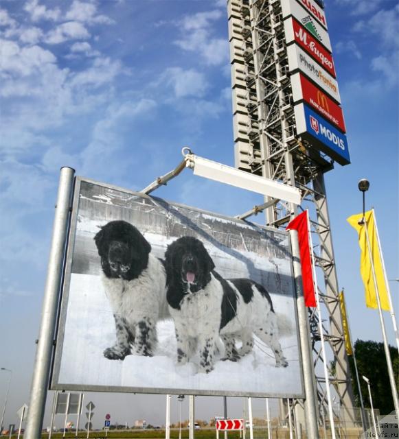 Фотография № 22237