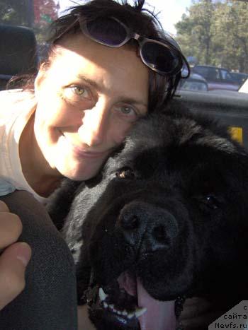 Фотография № 22238