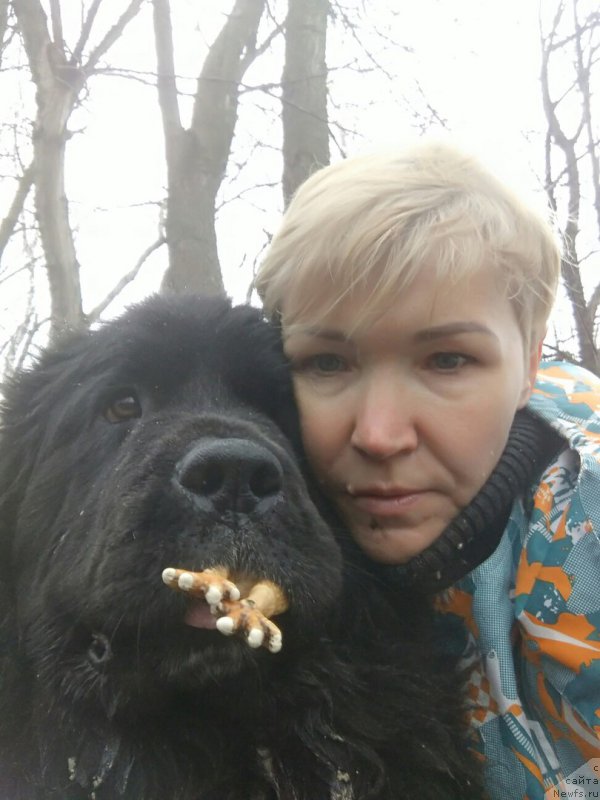 Фотография № 222390