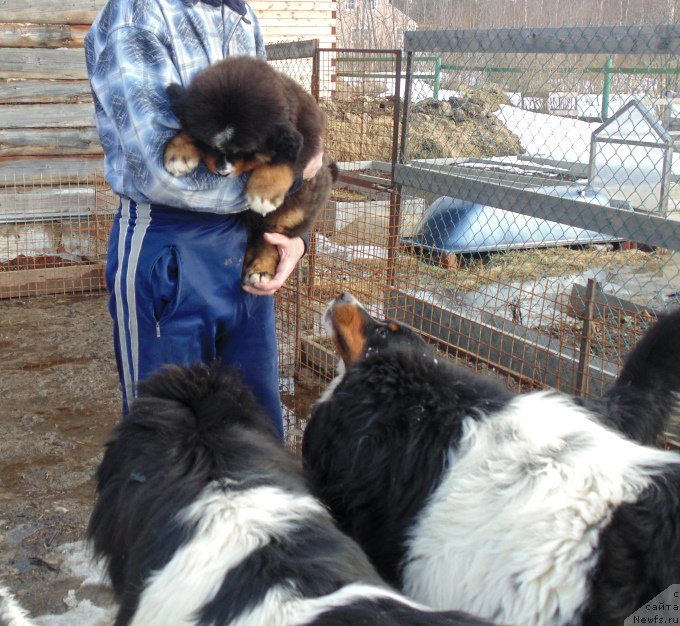 Фотография № 222392