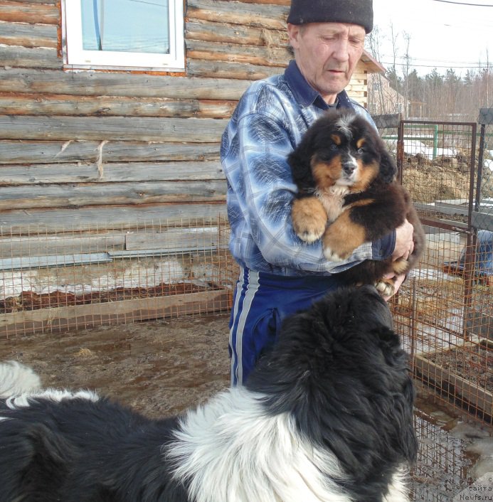 Фотография № 222393