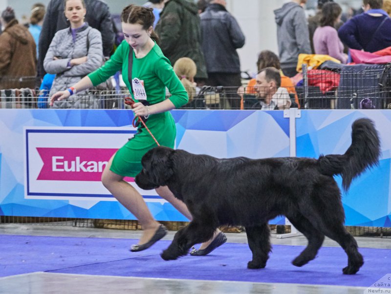 Фотография № 222434