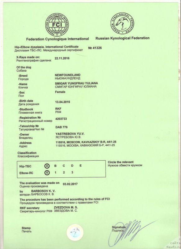 Фото: ньюфаундленд Смигар Юнгфрау Юлиана (Smigar Yungfrau Yuliana)