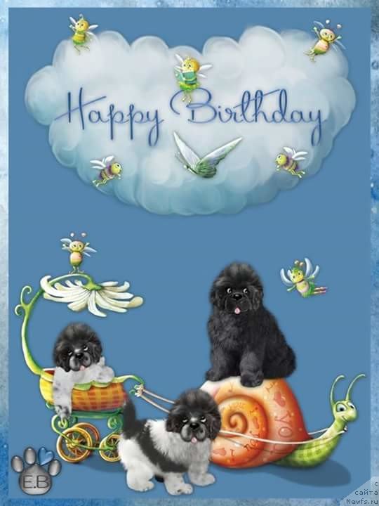 Фотография № 222458