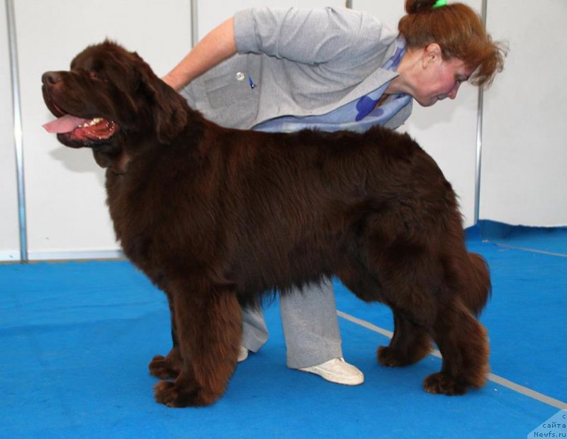 Фотография № 222459