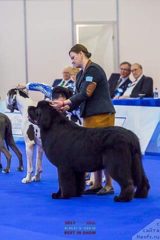 Фотография № 222460