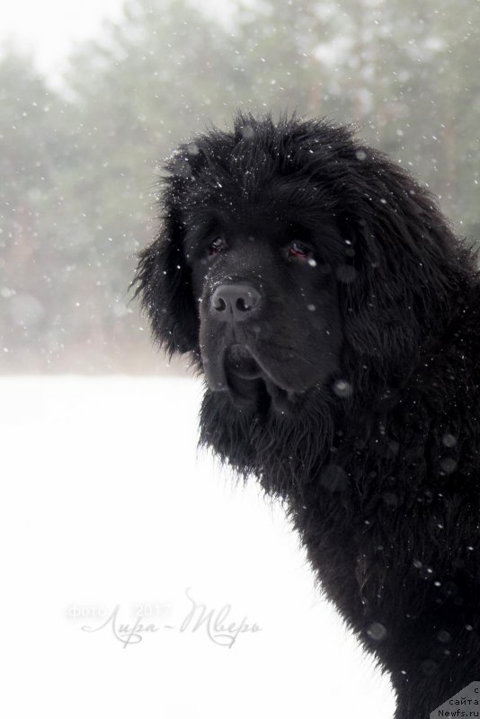 Фотография № 222470