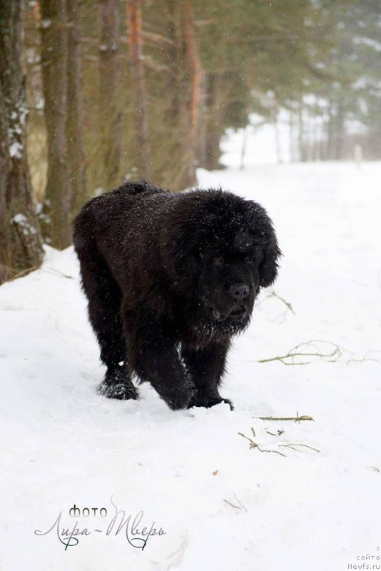 Фотография № 222476