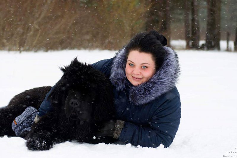 Фотография № 222477