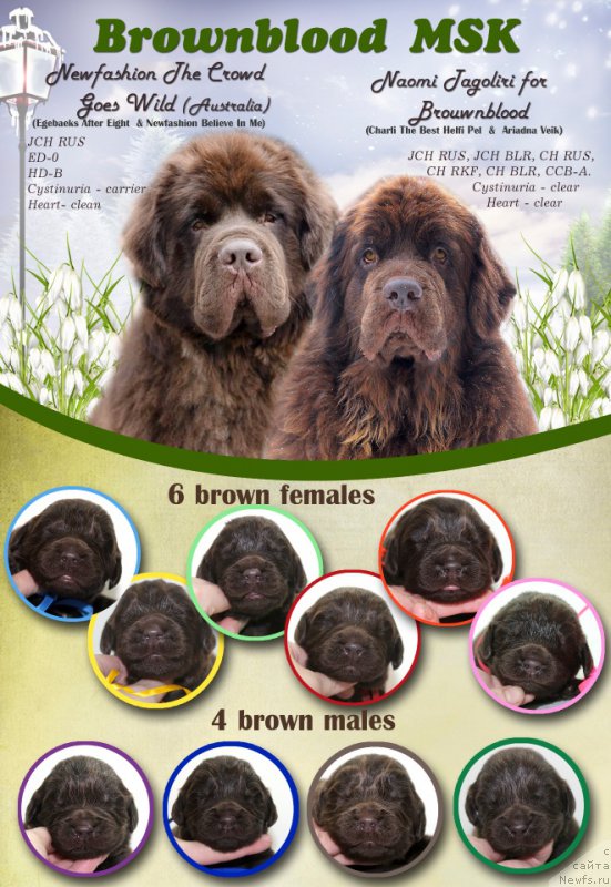 Фотография № 222484