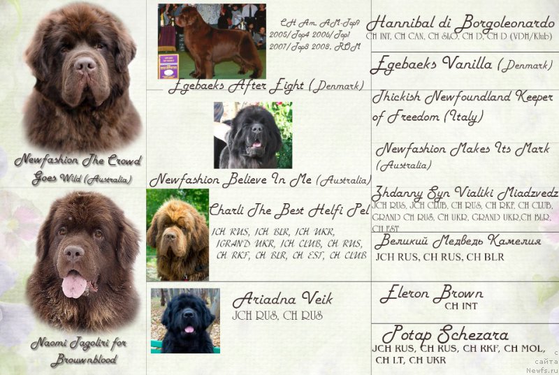 Фотография № 222485