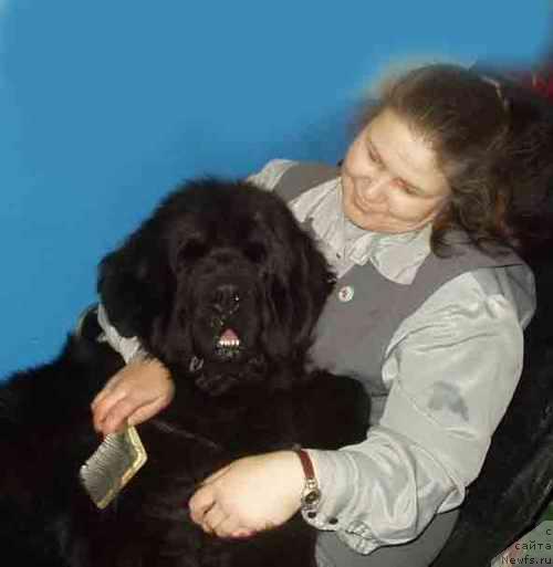 Фото: Надежда Ермилова