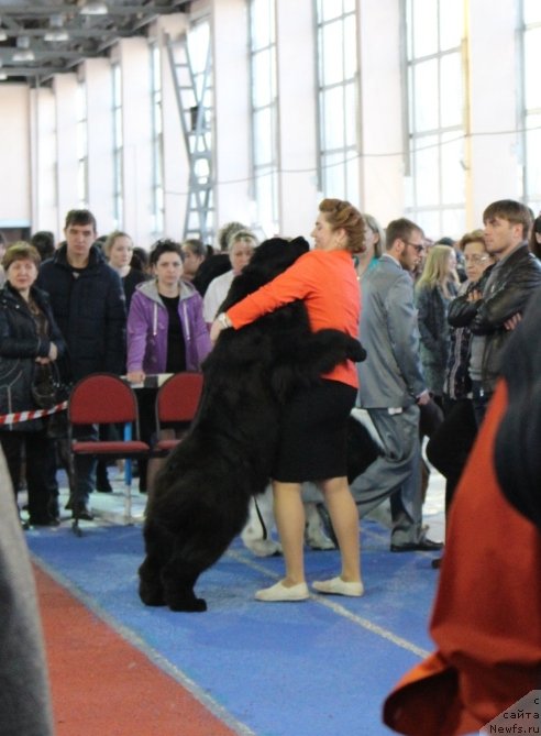 Фотография № 222513