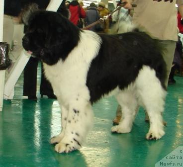 Фотография № 22252