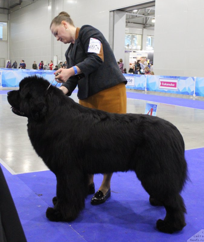 Фотография № 222520