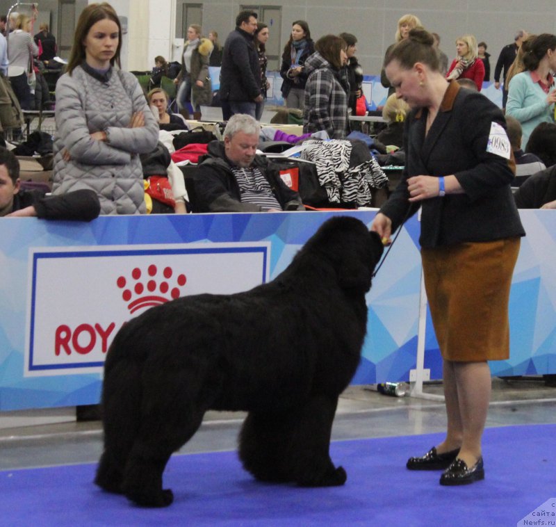 Фотография № 222522