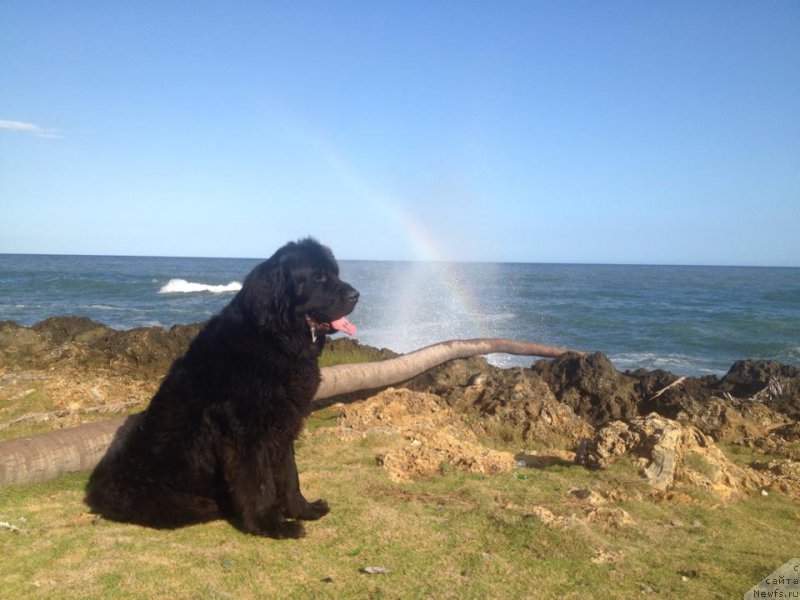 Фотография № 222548