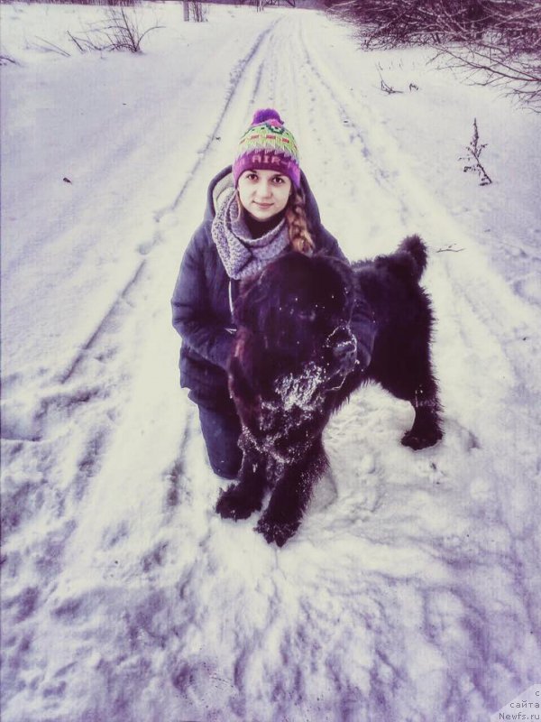 Фотография № 222557