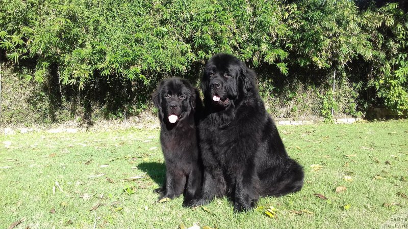 Фотография № 222566