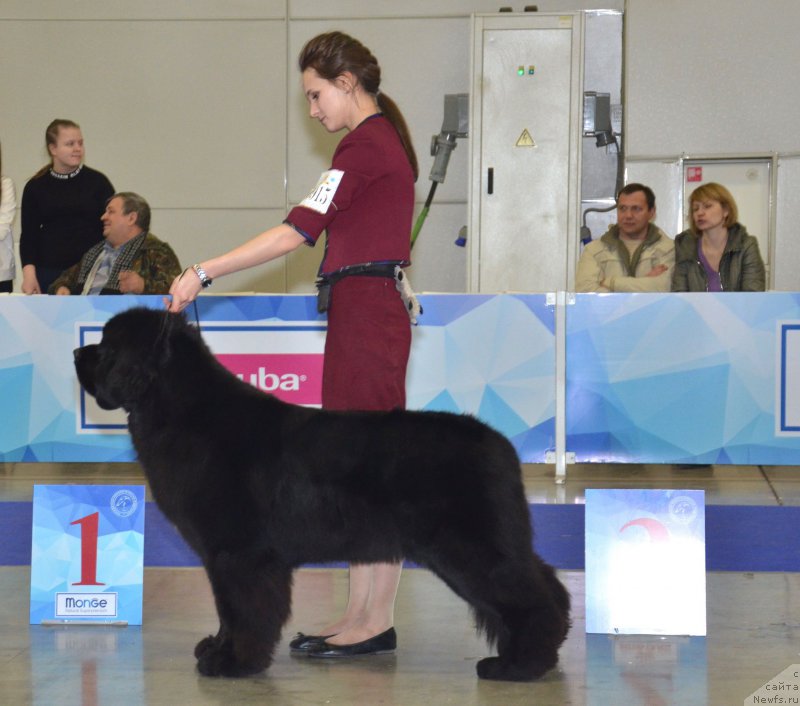 Фотография № 222602