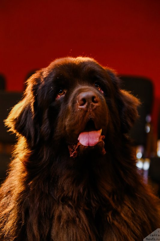 Фотография № 222640