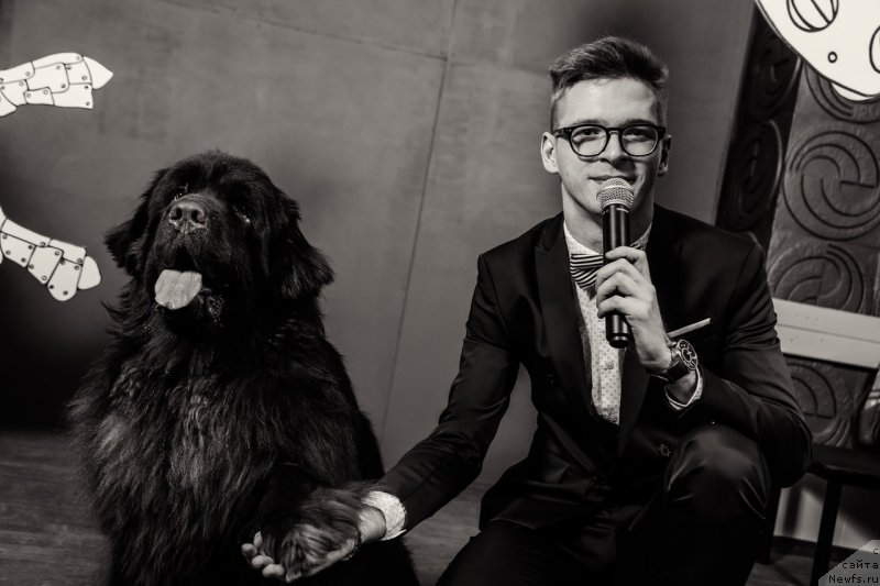 Фото: ньюфаундленд Альфа Дар Окса Виват