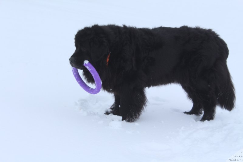 Фотография № 222651