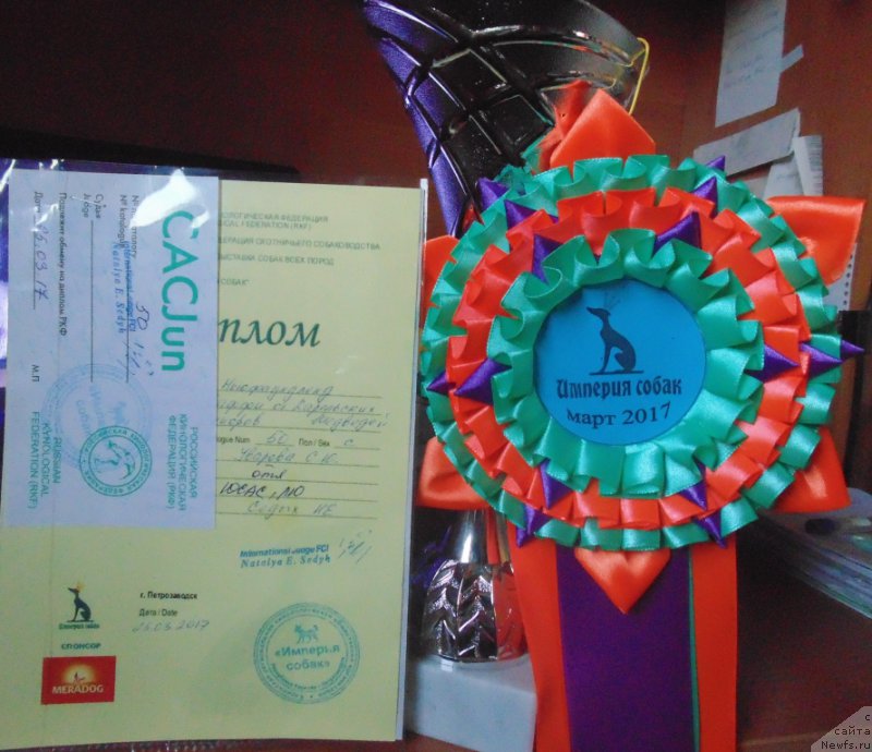 Фотография № 222666