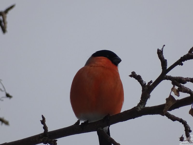 Фотография № 222691