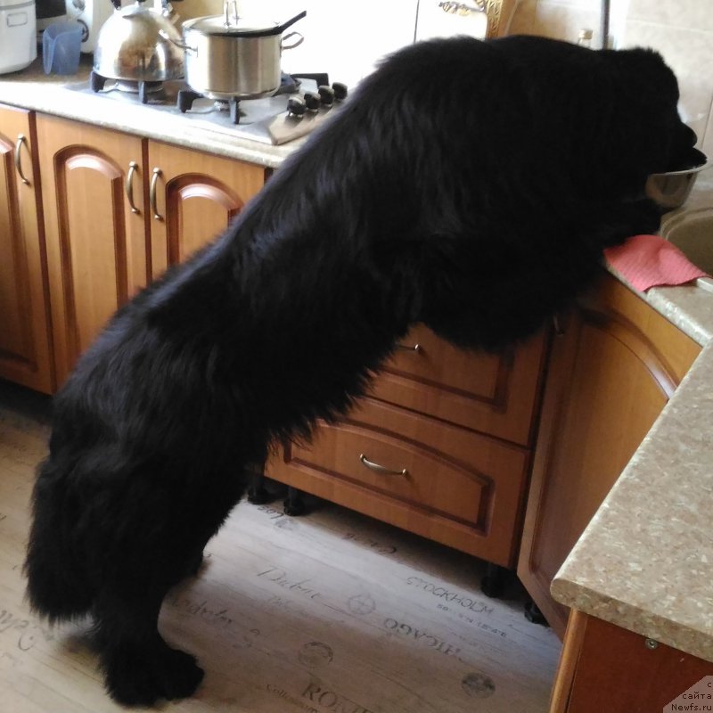 Фотография № 222693