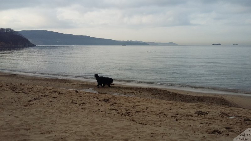 Фотография № 222698