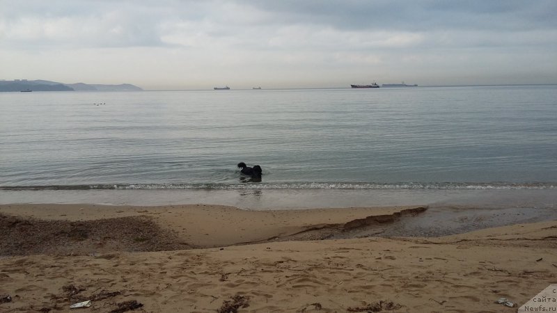 Фотография № 222700