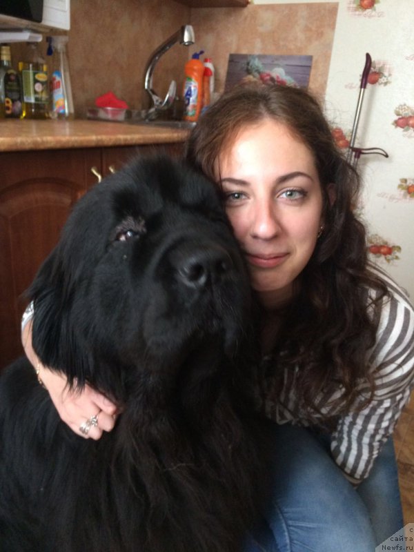 Фотография № 222707